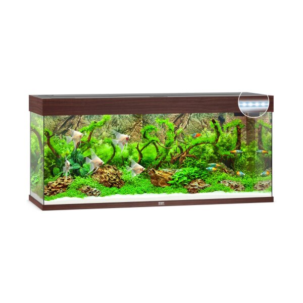 JUWEL Rio 240 LED dunkles Holz