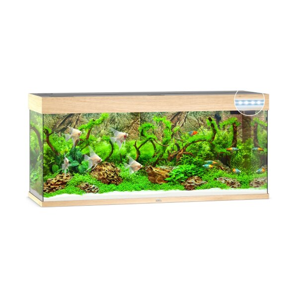 JUWEL Rio 240 LED helles Holz