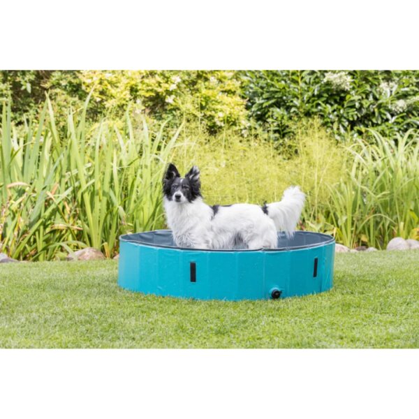 TRIXIE Hundepool