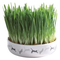 TRIXIE Ceramic Bowl with Cat Grass