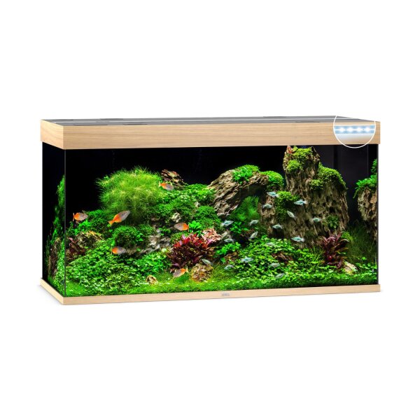 JUWEL Rio 350 LED helles Holz