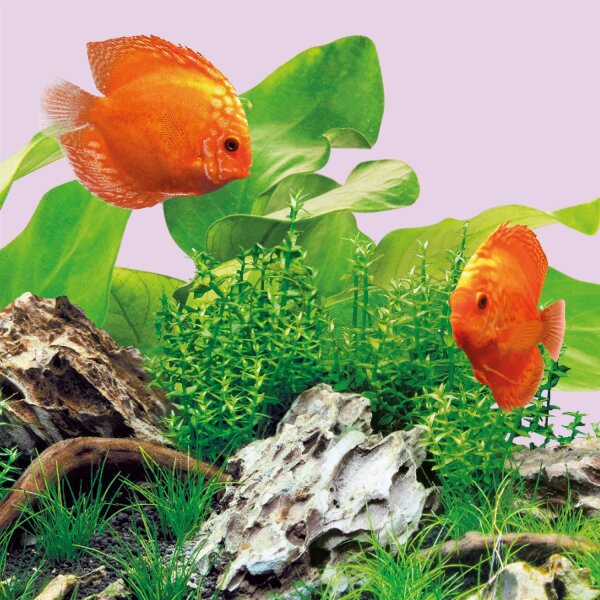 JUWEL LED Colour 590 mm