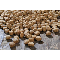 BEWI DOG® balance 12,5 kg