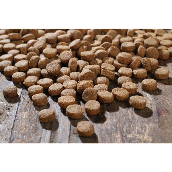 BEWI DOG® basic 25 kg