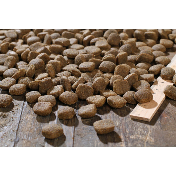 BEWI DOG® sport 25 kg