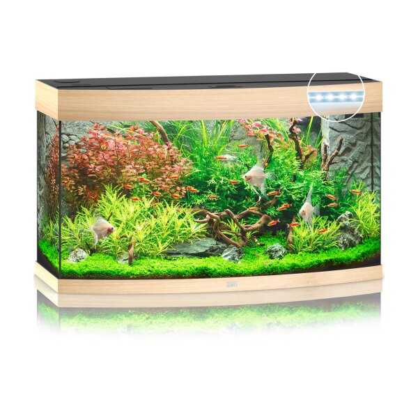 JUWEL Vision 180 LED helles Holz