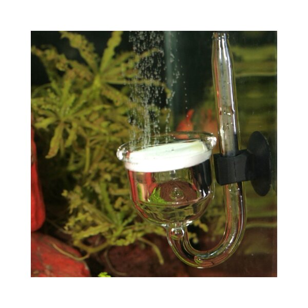 JBL ProFlora Taifun P