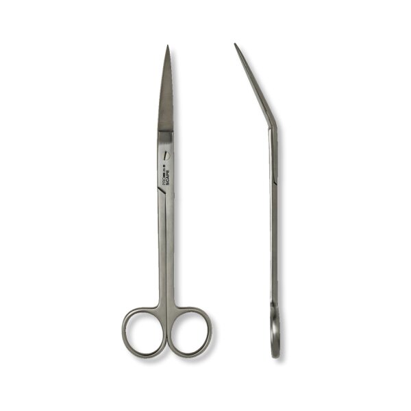 JBL ProScape Tool S curved