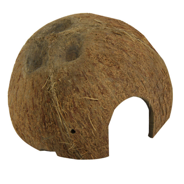 JBL Cocos Cava