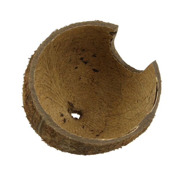 JBL Cocos Cava 1/2M