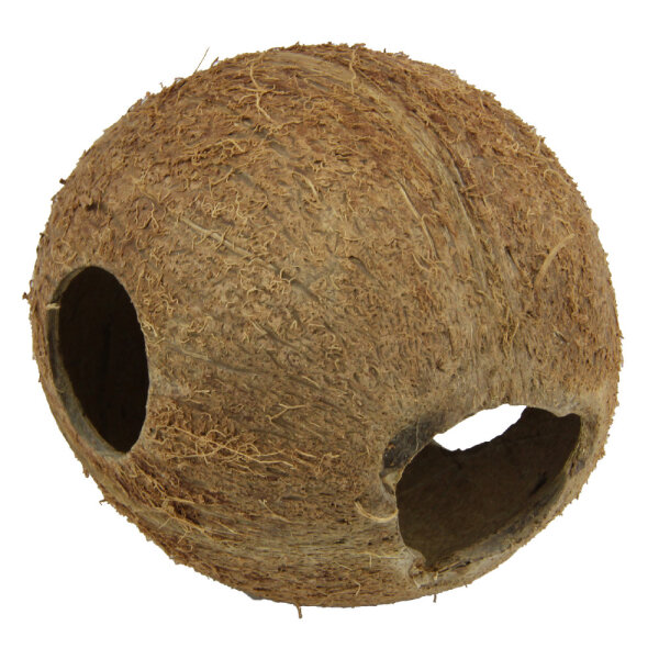 JBL Cocos Cava 1/1 M