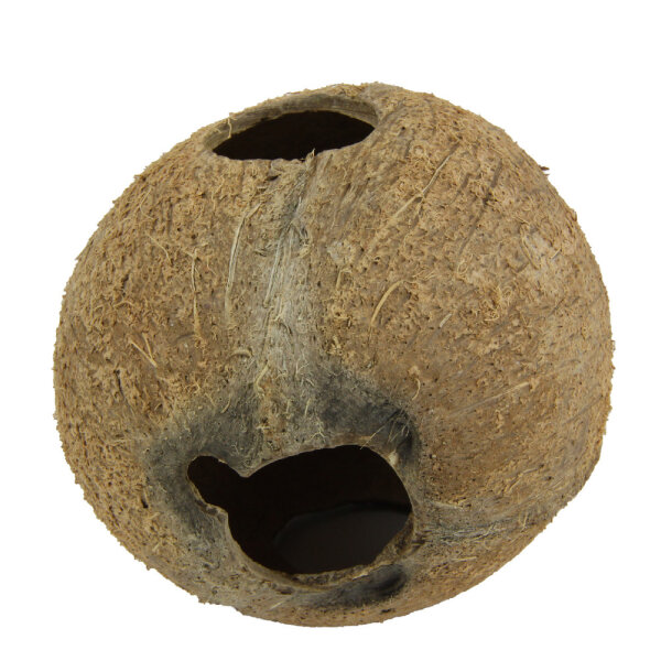 JBL Cocos Cava 1/1L