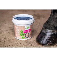 Bense & Eicke Hufsalbe schwarz