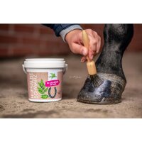 Bense & Eicke Hufsalbe schwarz 500 ml