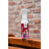 Bense & Eicke StarFinish *Bibi & Tina Edition* 500 ml
