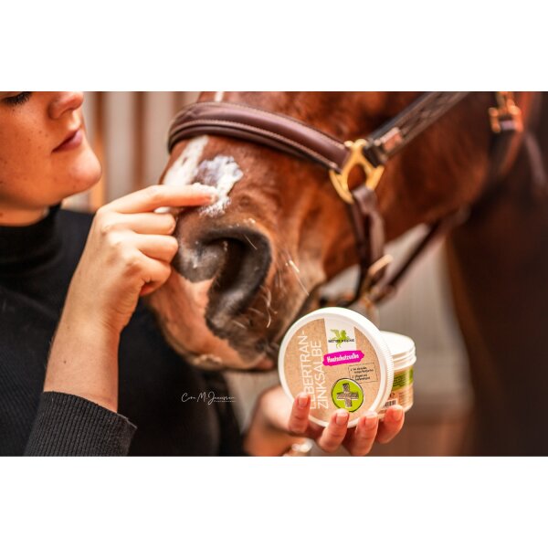Bense & Eicke Lebertran-Zinksalbe 250 g