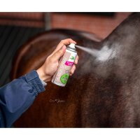 Bense & Eicke Silber Spray 200 ml