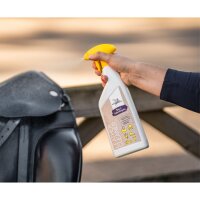Bense & Eicke Leather Cleaner Step 1