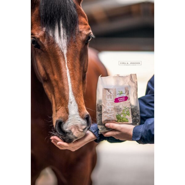 Bense & Eicke Wiesen happies Wildbeere Kräuter 1 kg