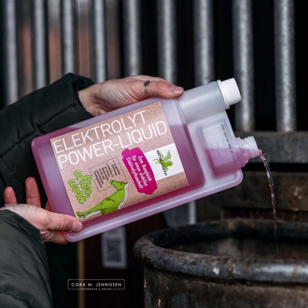 Bense & Eicke Elektrolyt Power-Liquid 1000 ml