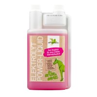 Bense & Eicke Elektrolyt Power-Liquid 1000 ml