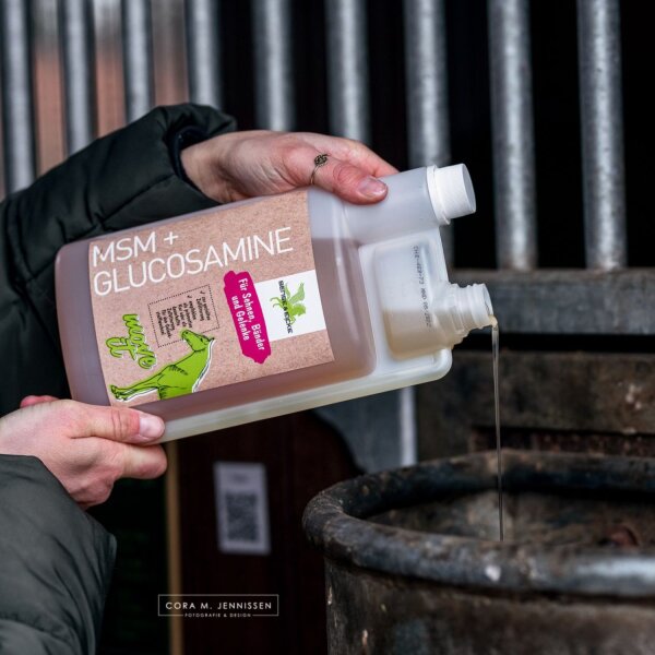 Bense & Eicke MSM + Glucosamine
