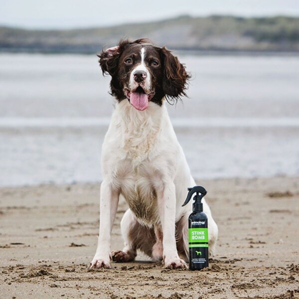 Animology Stink Bomb Erfrischungsspray