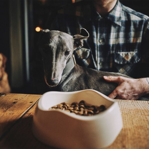 Beco Bowl