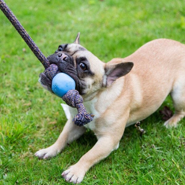 Beco Spieltau mit Ball