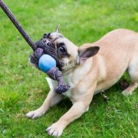 Beco Spieltau mit Ball