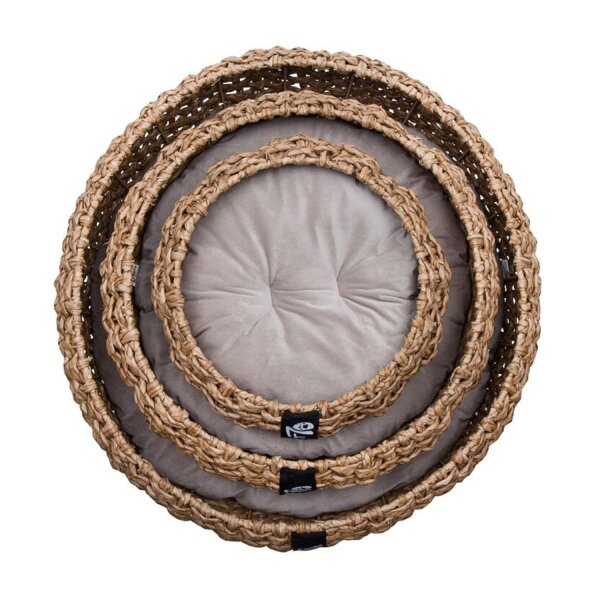 District 70 COCOON