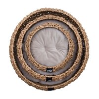 District 70 COCOON