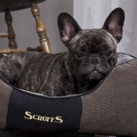 Scruffs Chester Box Bed Graphit S: 50 x 40 cm
