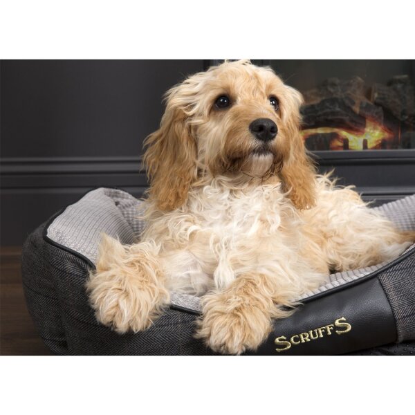 Scruffs Windsor Box Bed Grau M: 60 x 50 cm