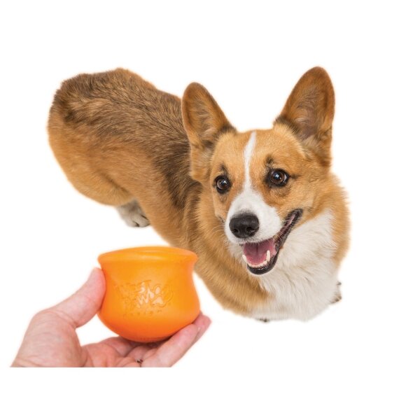 West Paw Zogoflex Toppl