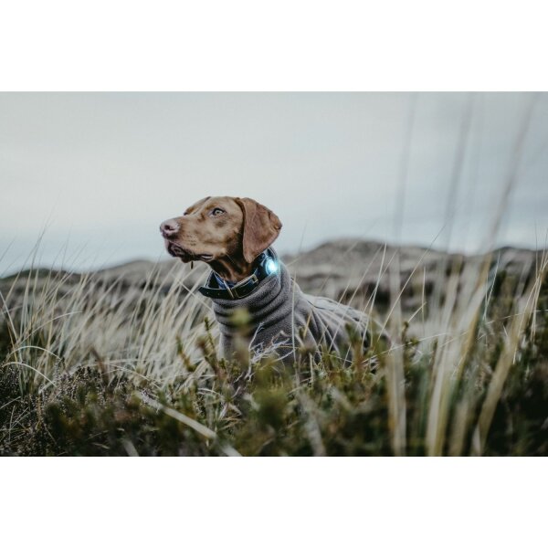 Orbiloc Dog Dual