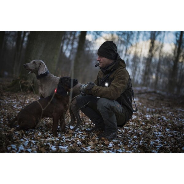 Orbiloc Dog Dual