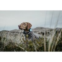Orbiloc Dog Dual