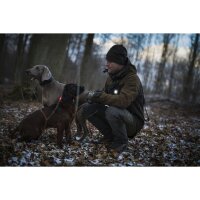 Orbiloc Dog Dual