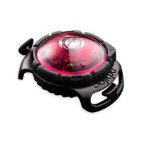 Orbiloc Dog Dual pink
