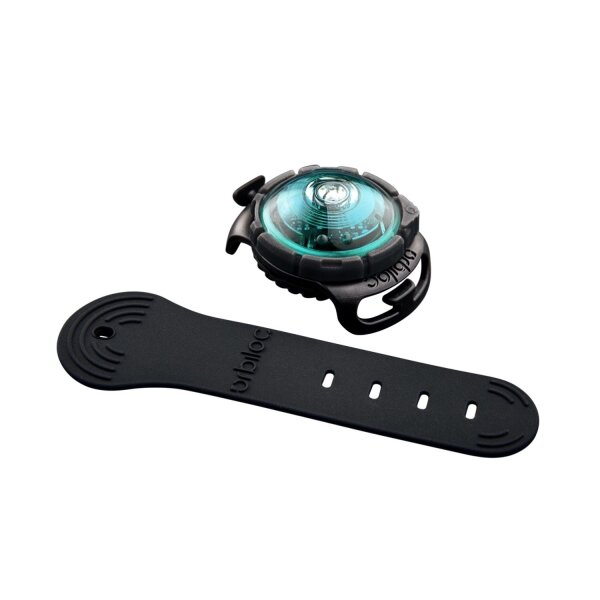 Orbiloc Dog Dual türkis