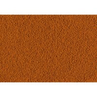 Tetra Cichlid Colour Pellets 10 l