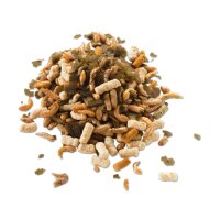 Tetra Pond Goldfish Mix 10 l
