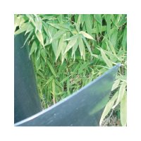 G&F Bambus-Rhizomensperre