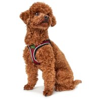 Hunter Geschirr Hilo Comfort rot XS