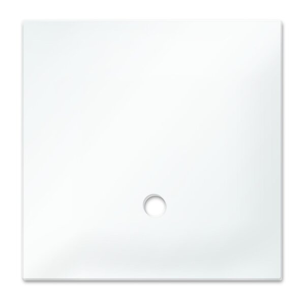 Dennerle Abdeckscheibe Nano Cube 30 Liter