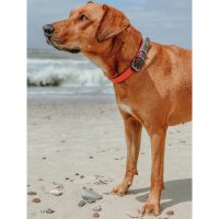 Hunter Halsband Convenience Comfort, 35 neonorange, Kunststoffmaterial, Neoprenpolsterung