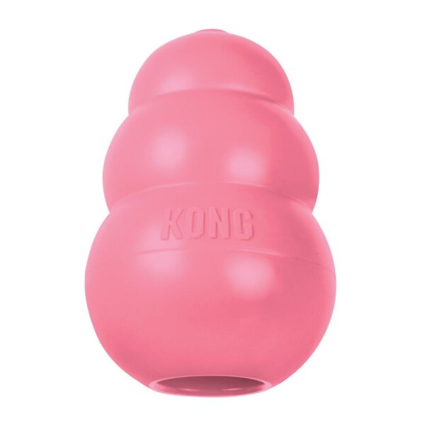 KONG® Puppy M