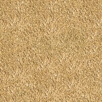 sera Betta Granules