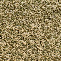 sera Vipagran Granules 10 l